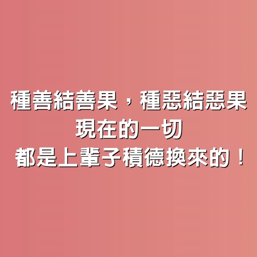 種善結善果，種惡結惡果。現在的一切都是上輩子積德換來的！