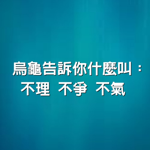 烏龜告訴你什麼叫：不理 不爭 不氣