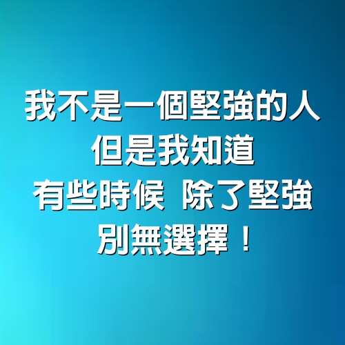 我不是一個堅強的人， 但是我知道， 有些時候， 除了堅強，別無選擇。