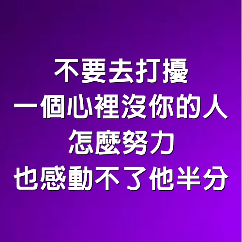 不要去打擾，一個心裡沒你的人，怎麼努力也感動不了他半分