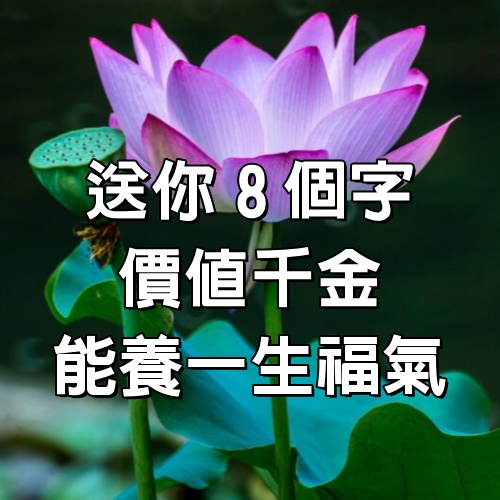 送你8個字，價值千金！能養一生福氣！