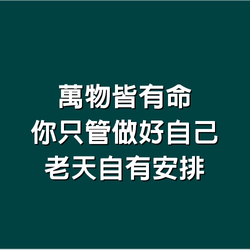 萬物皆有命，你只管做好自己，老天自有安排