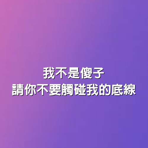 我不是傻子，請你不要觸碰我的底線