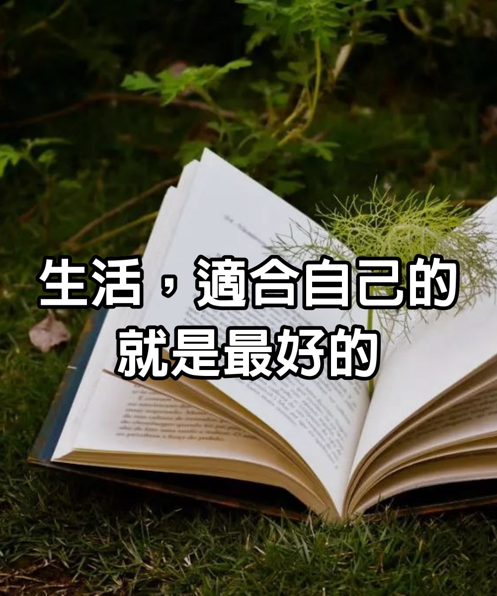 生活，適合自己的，就是最好的