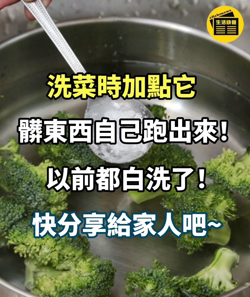 洗菜時加點它，髒東西、菜蟲自己跑出來！以前都白洗了！快分享給家人吧~